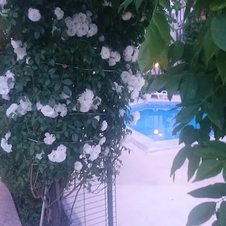 Appartement Breeze *